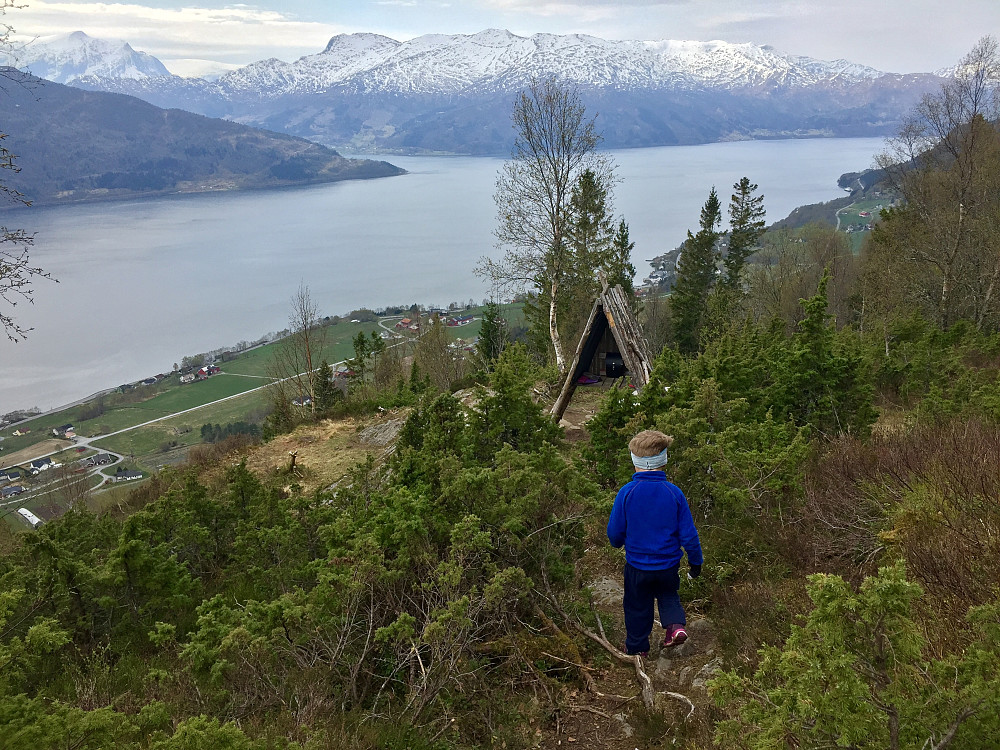 Sethaugen, med flott utsikt og trebenk