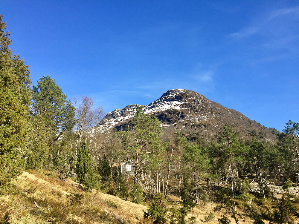Selet ligger fint til under Lotsbergnibba. Må bare fjerne litt mer skog..,