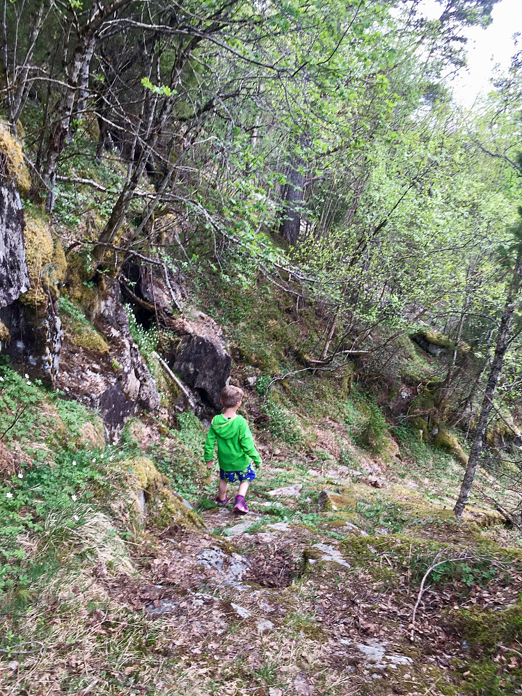 På vei ned stien mot Lotsbergskåra 