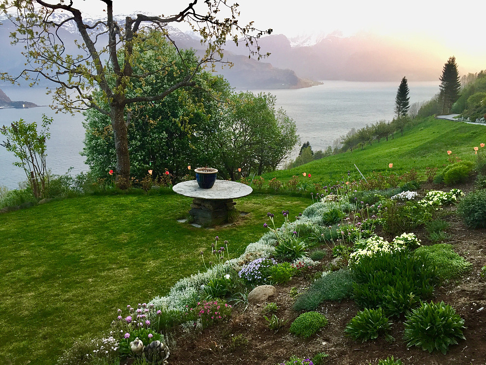 Flott solnedgang og nyslått plen i april 