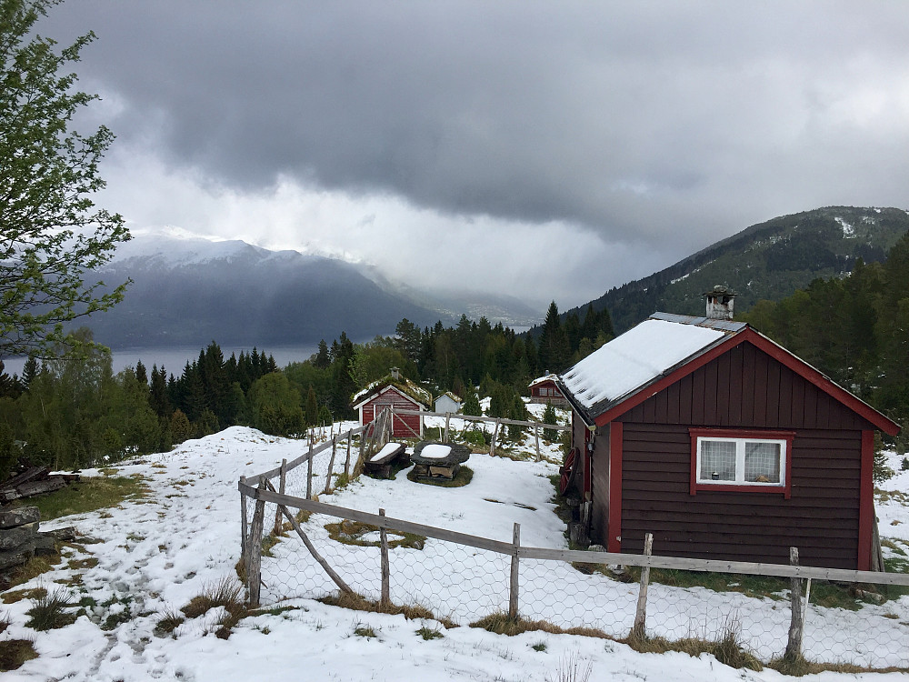Fin utsikt mot Eid fra denne sætra til tross for skogen som omgir den. 