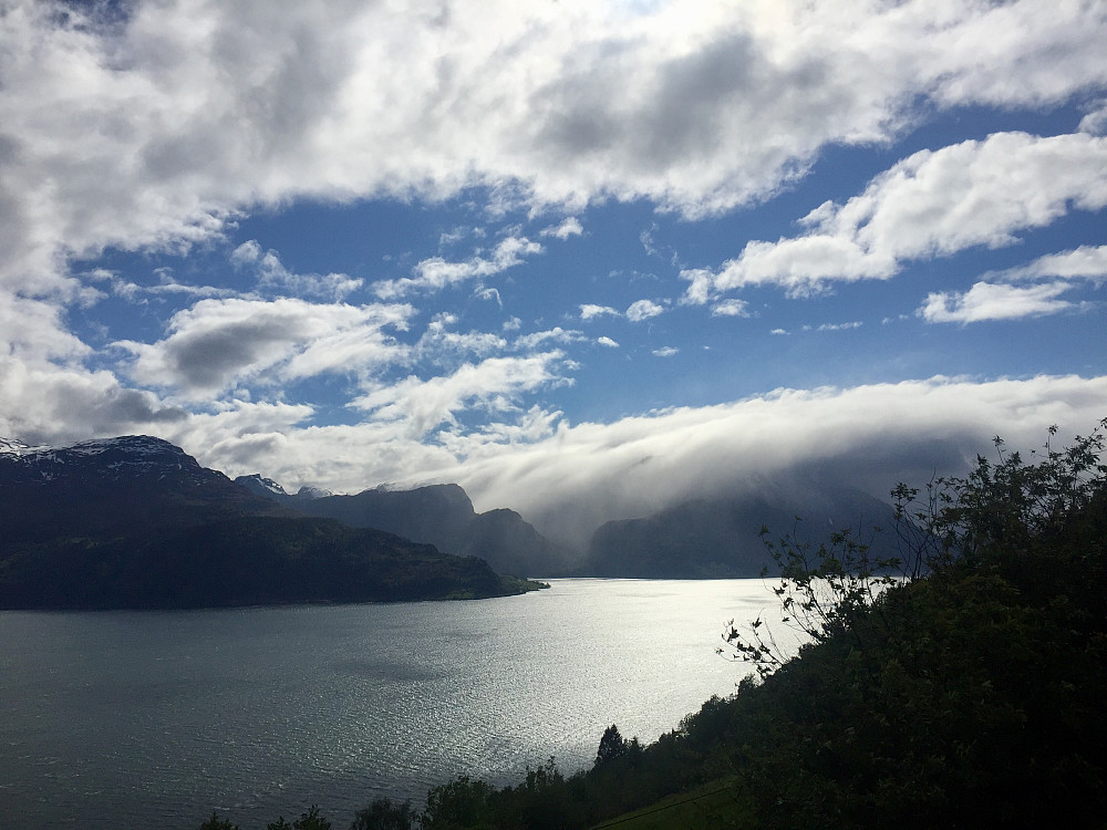 Tjukk skodde uti fjorden
