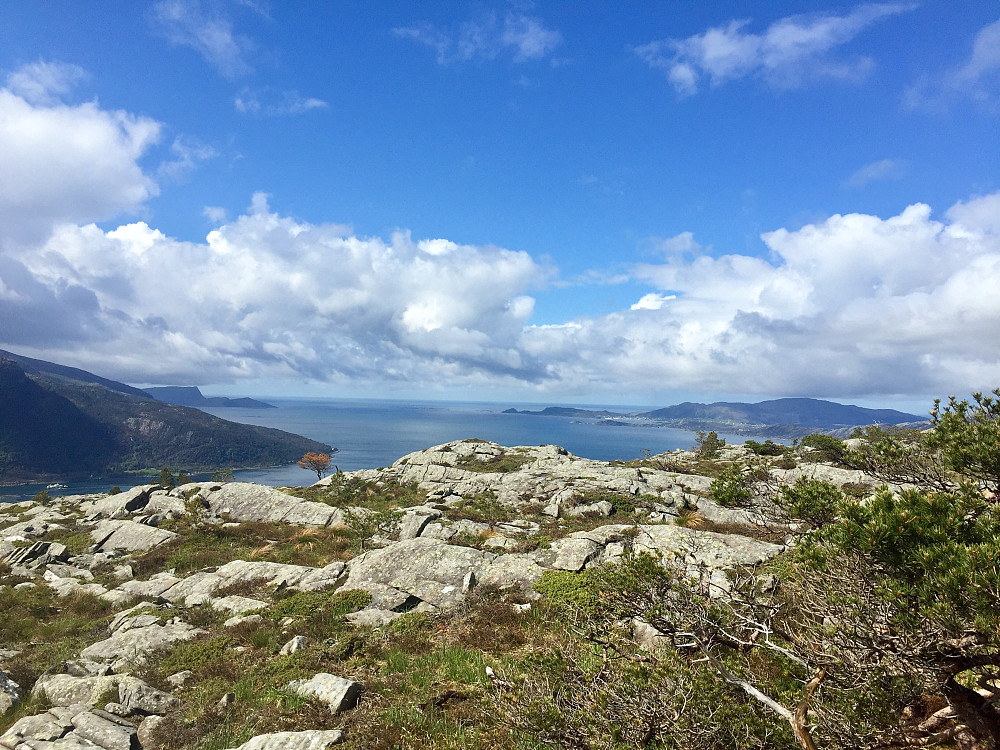 Utsikt utover mot Kalvåg