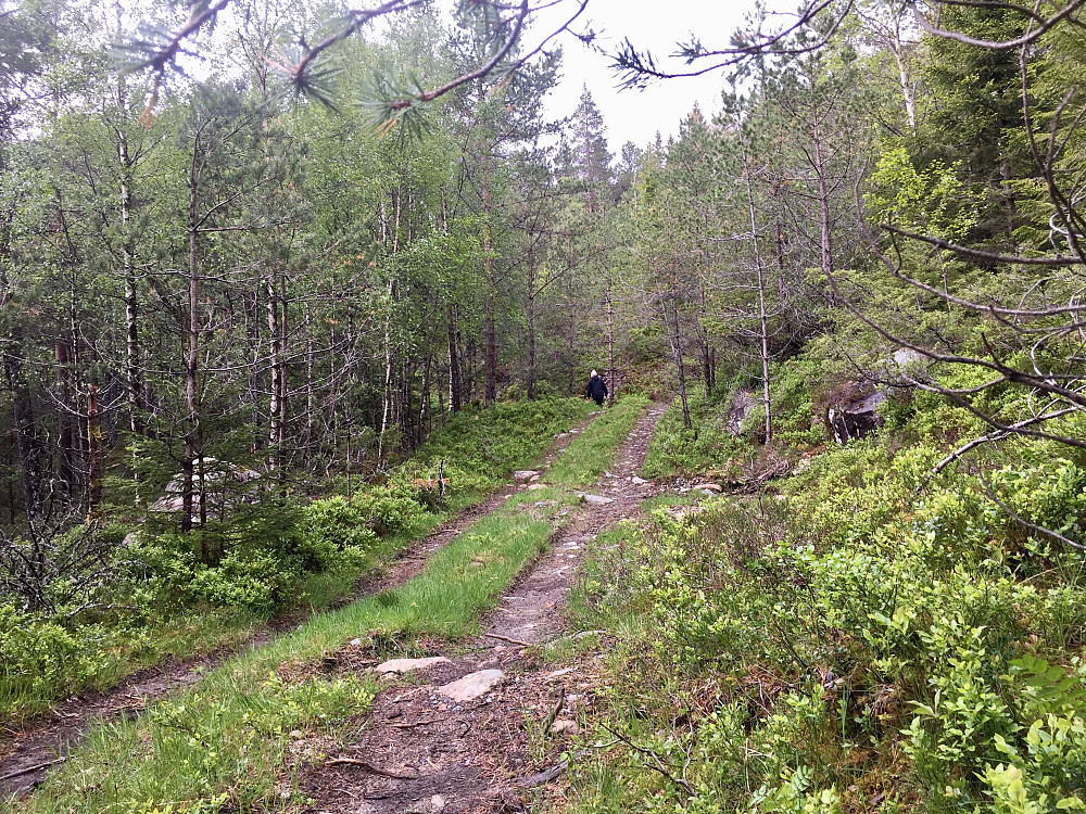 Traktorveien oppover fra Ytrehus