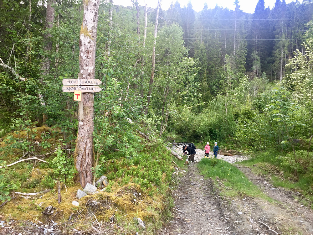Start fra Bjørlo