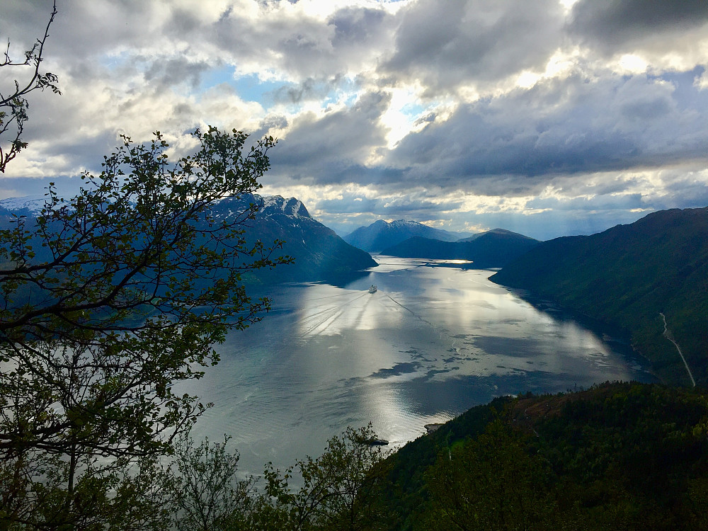 cruiseskip på vei ut en relativ stille fjord