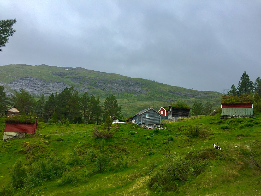 Maragjølsætra