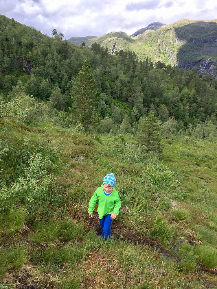 Gjørme og mye skog helt opp til vatnet