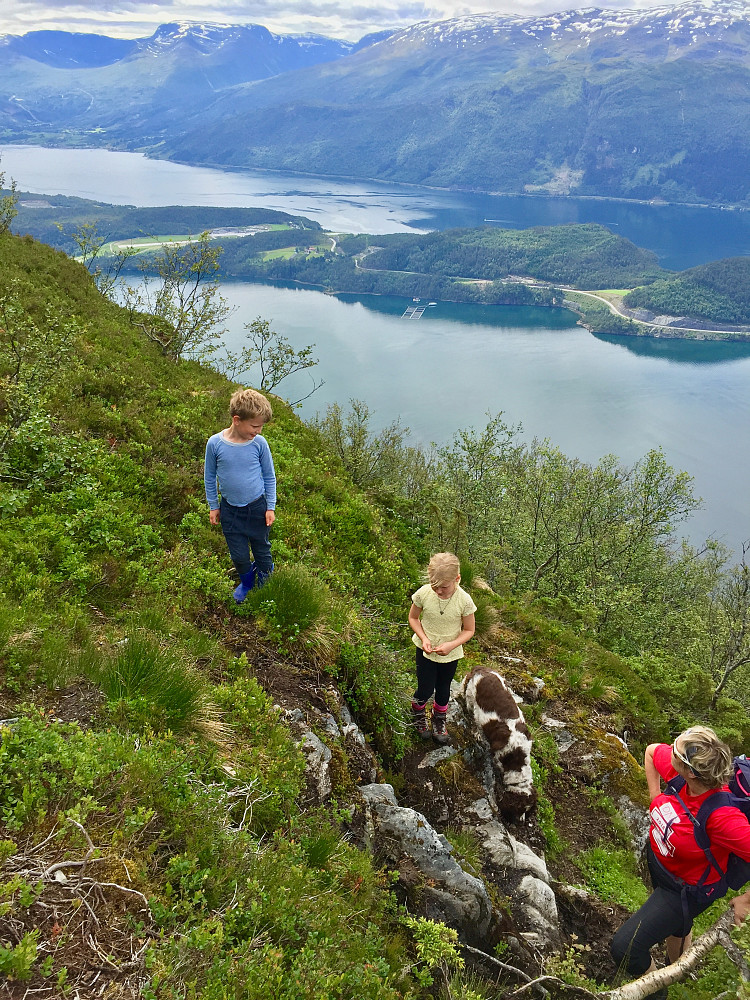 på vei oppover og endelig over skoggrensa