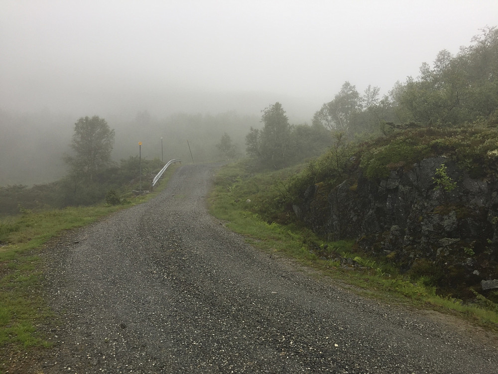 yr i lufta og tett skodde oppi. Greit å snu her i dag