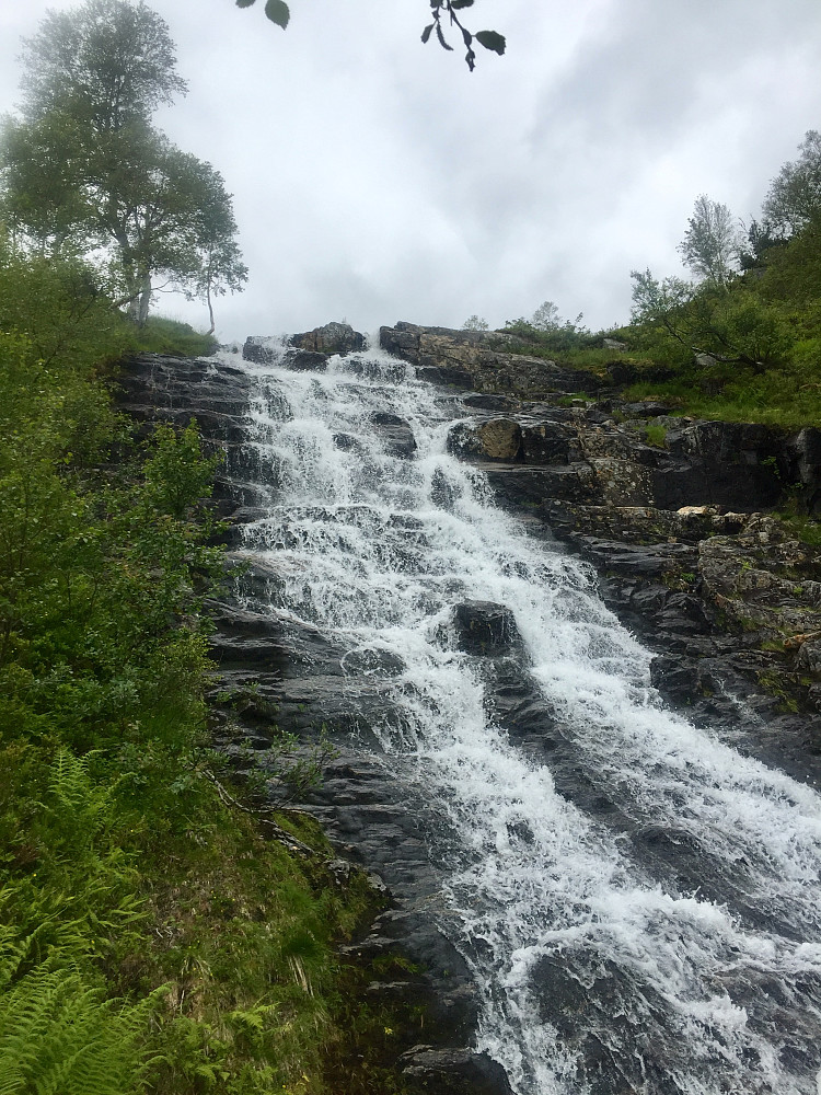 bra vannføring i Fosseelva