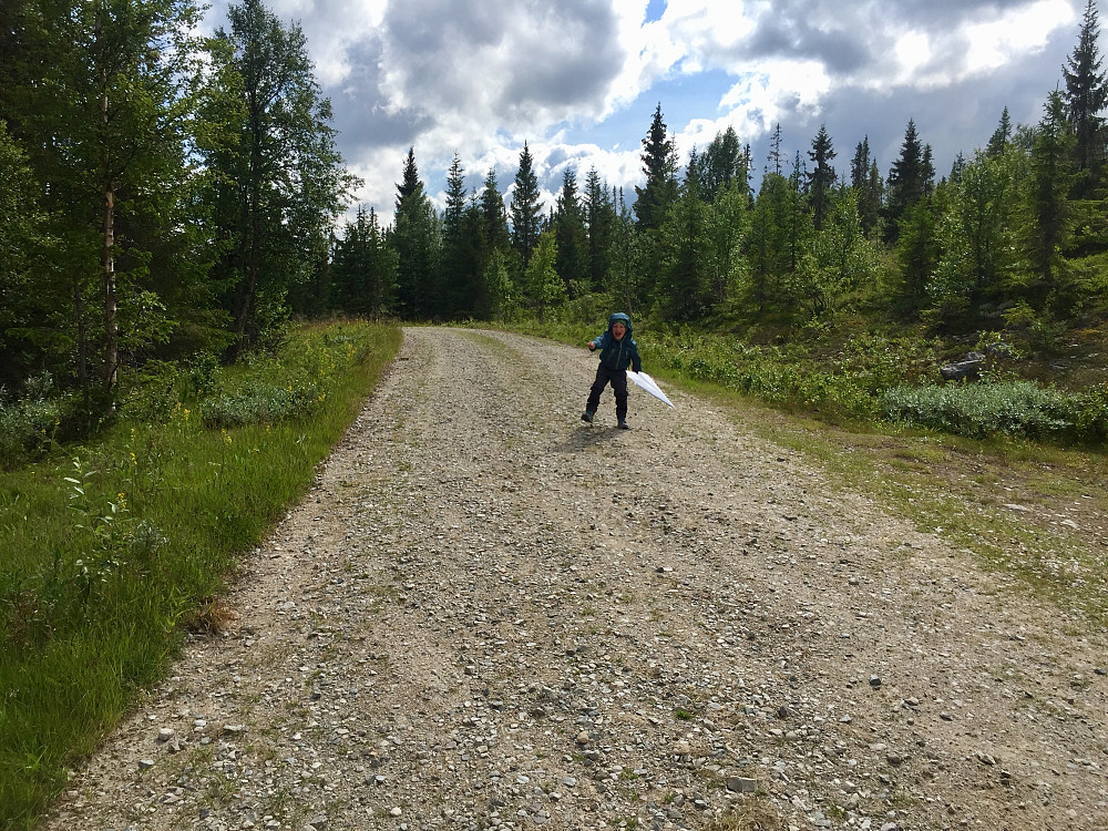 Papirflykasting på Løvåsen