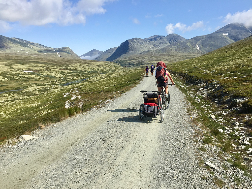 Flott sykkelvei inn til Ronvassbu godt lastet med sekk og godgutten i sykkelvogna. Mye folk underveis