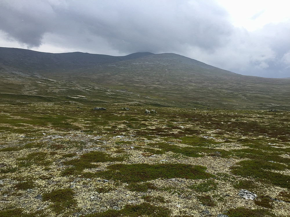 Ser bakover mot Elgåhogna som stort sett er fri for skodde. Utrolig lettgått og flott fjellterreng i disse områdene!!!