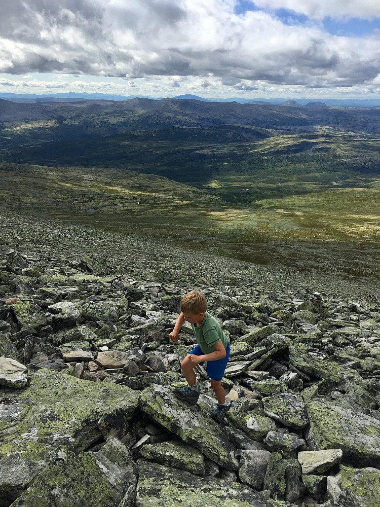 Vi har satt kursen mot Sålekinntoppen og Ove tar turen bortom Nordre Sålekinna imens. Vi satser på å komme først til Sålekinntoppen og Vinjar går på så det holder :-)