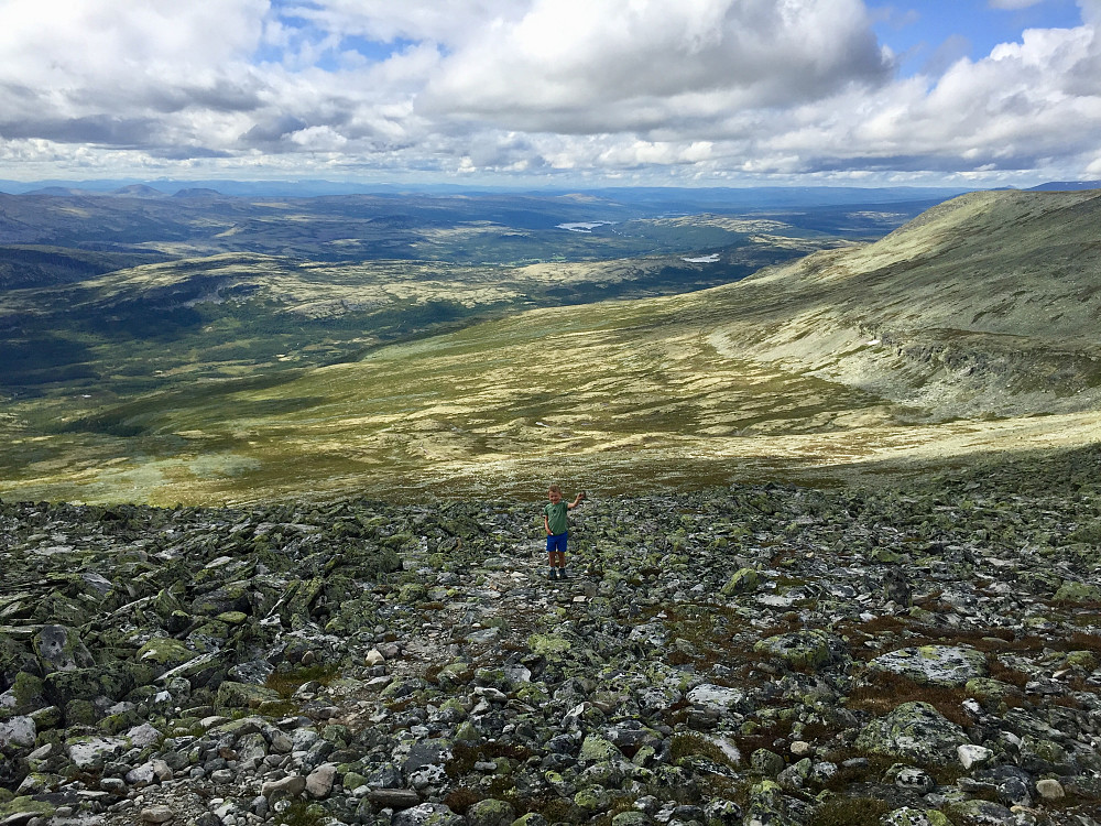 Lettgått hele veien, litt småur mot toppryggen som raskt og lett beherskes av en erfaren turgåer med motivasjon inntakt