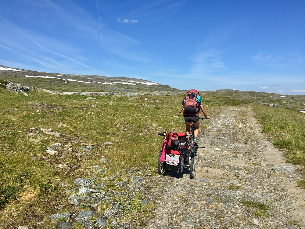 Sykkeletappen opp til Nedre Kjølihytta