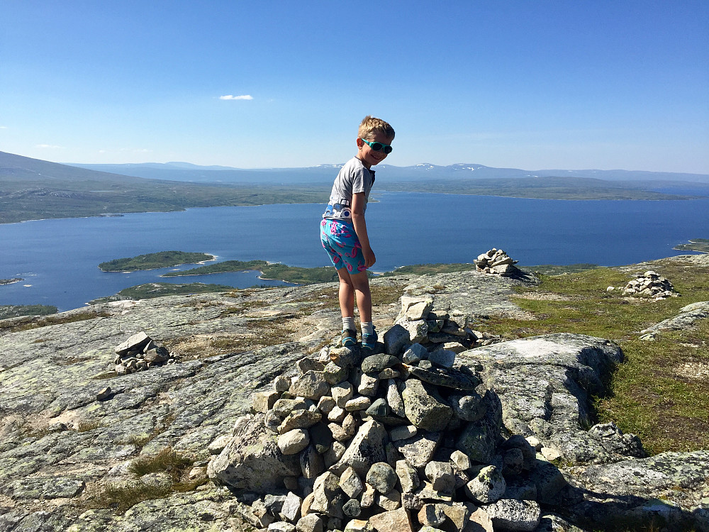 Vinjar på Neklumpen