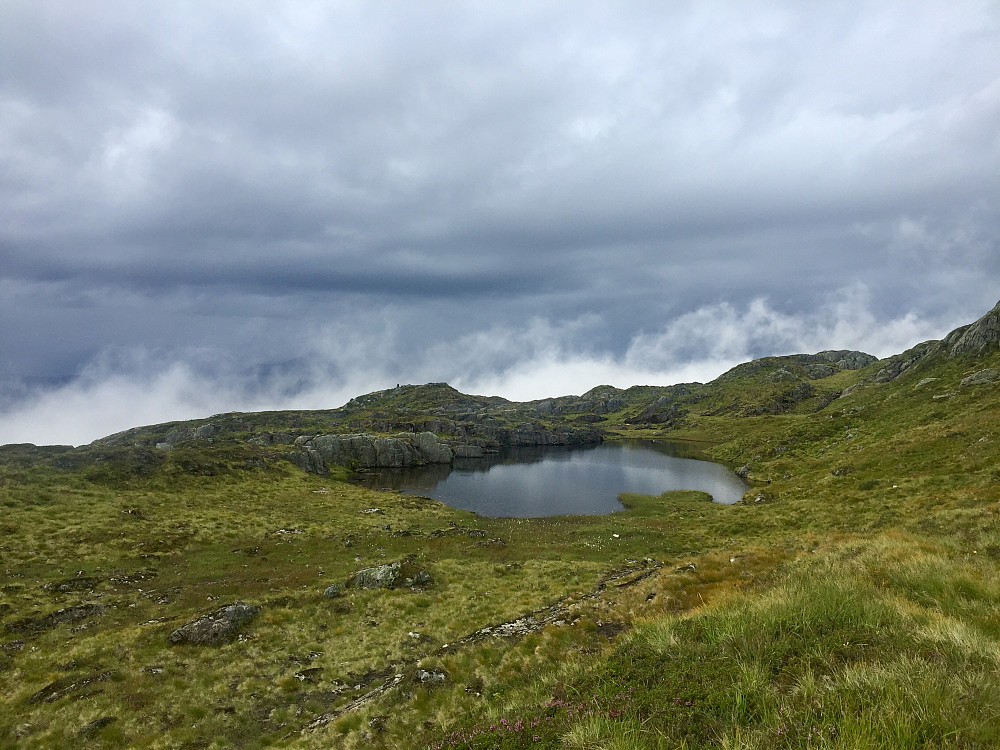 Fessevatnet