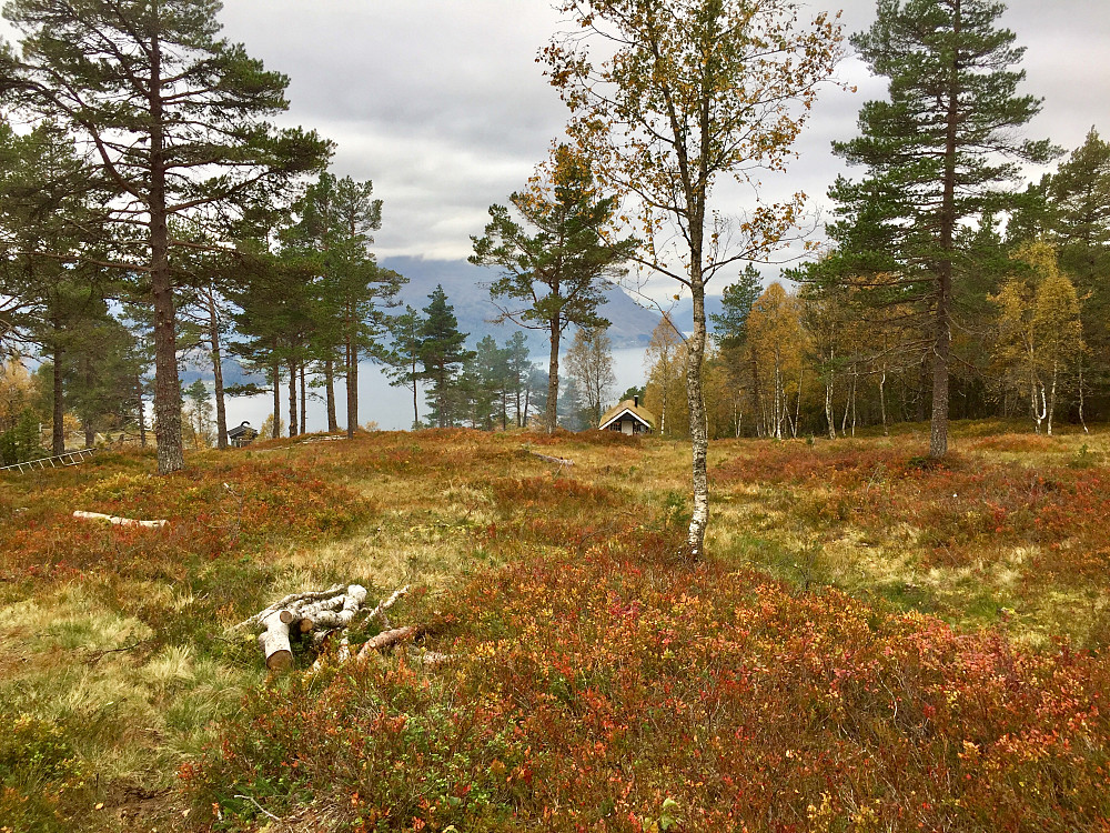Blir  åpent og flott etter hvert 