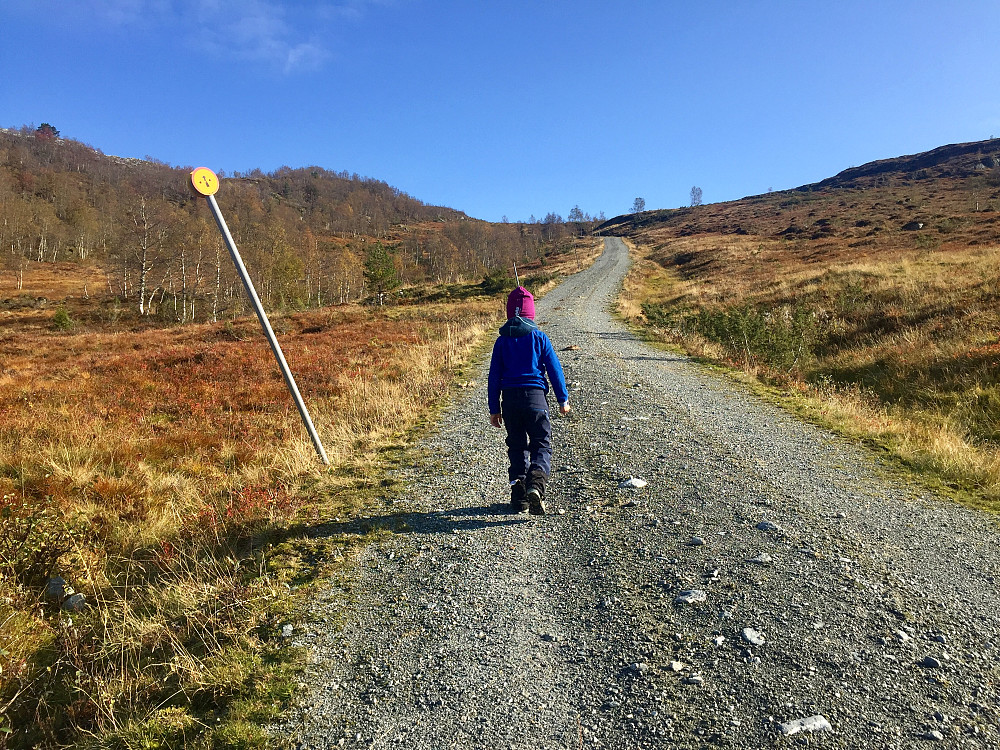 På vei oppover fra Lotsstøylen