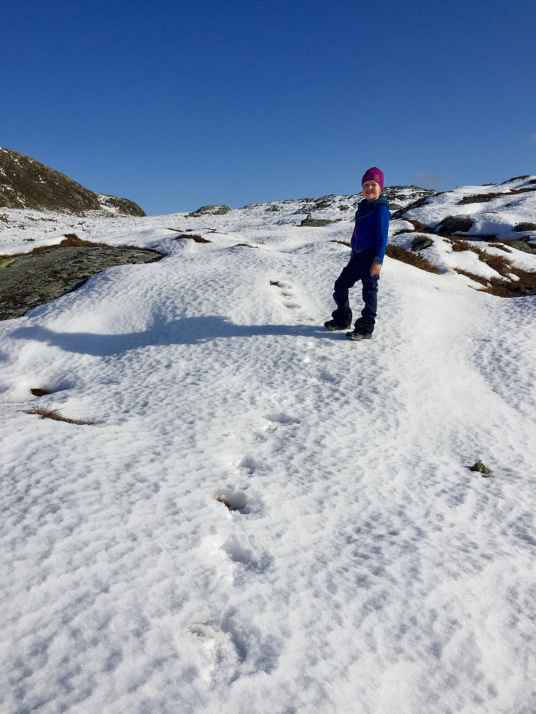 stort sett veldig fin snø å gå på. Litt mer gjennomtrekk i toppartiet