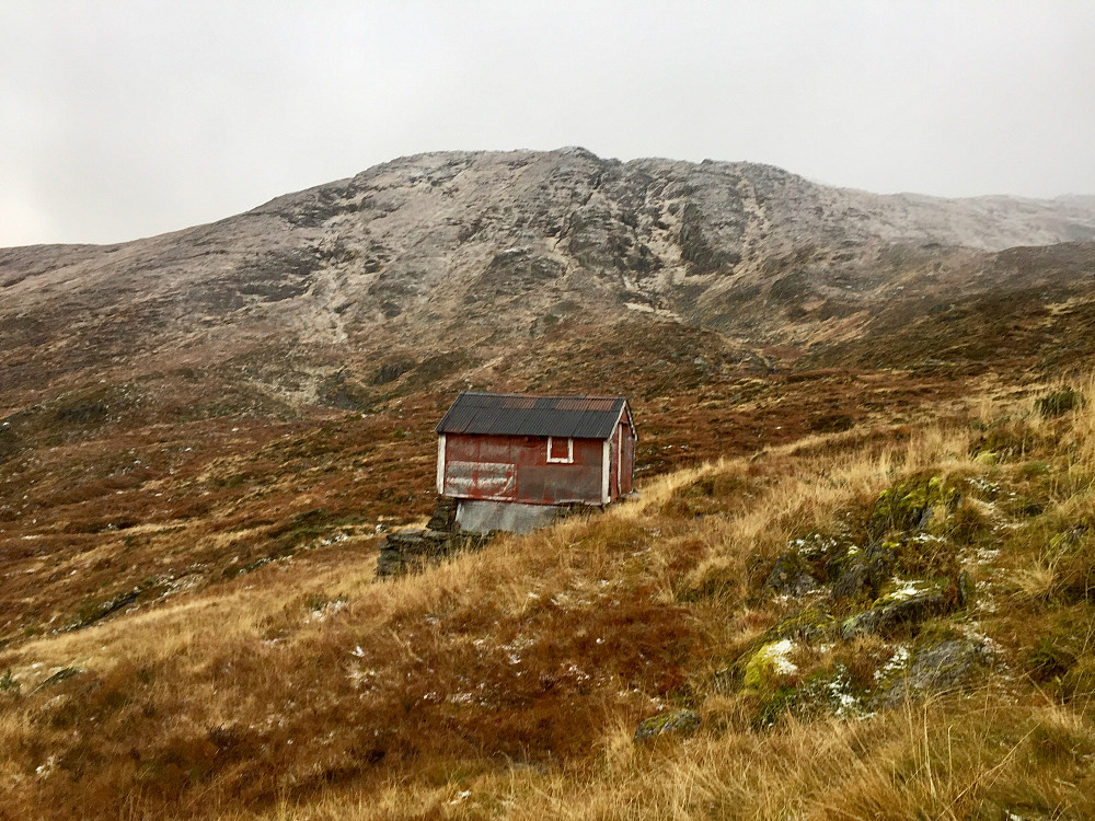 Snøbyger i høyden i dag