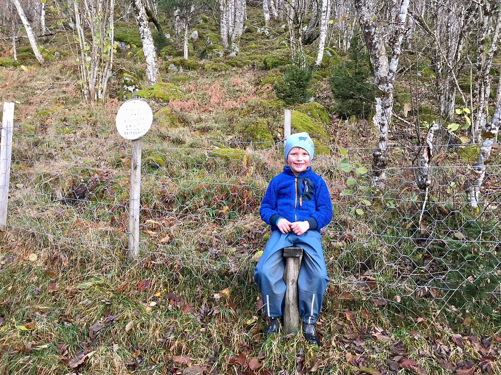 Vinjar ved gardklivet