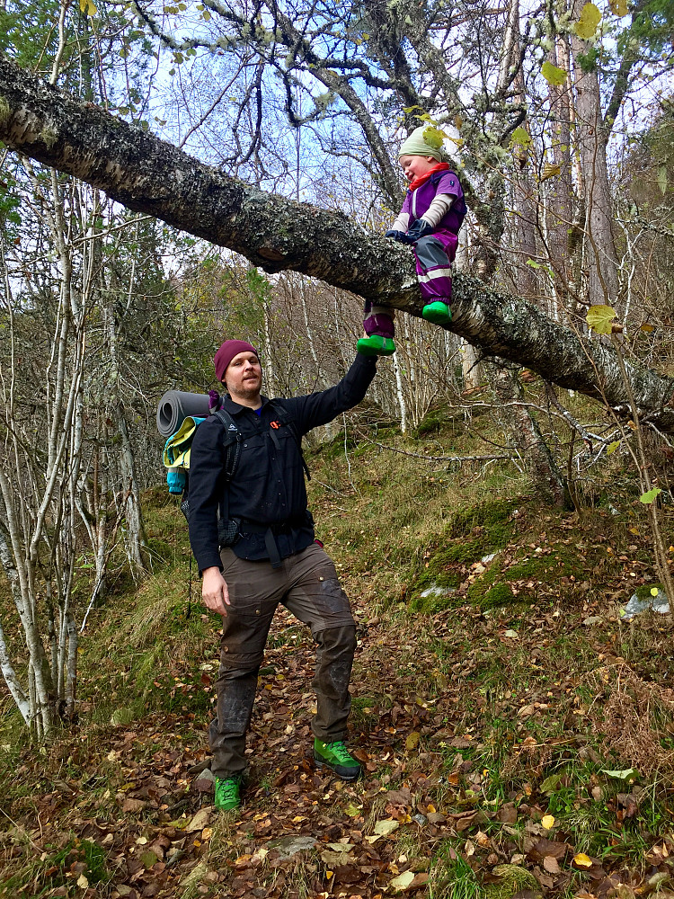 Mye kjekt å finne i skogen :-))