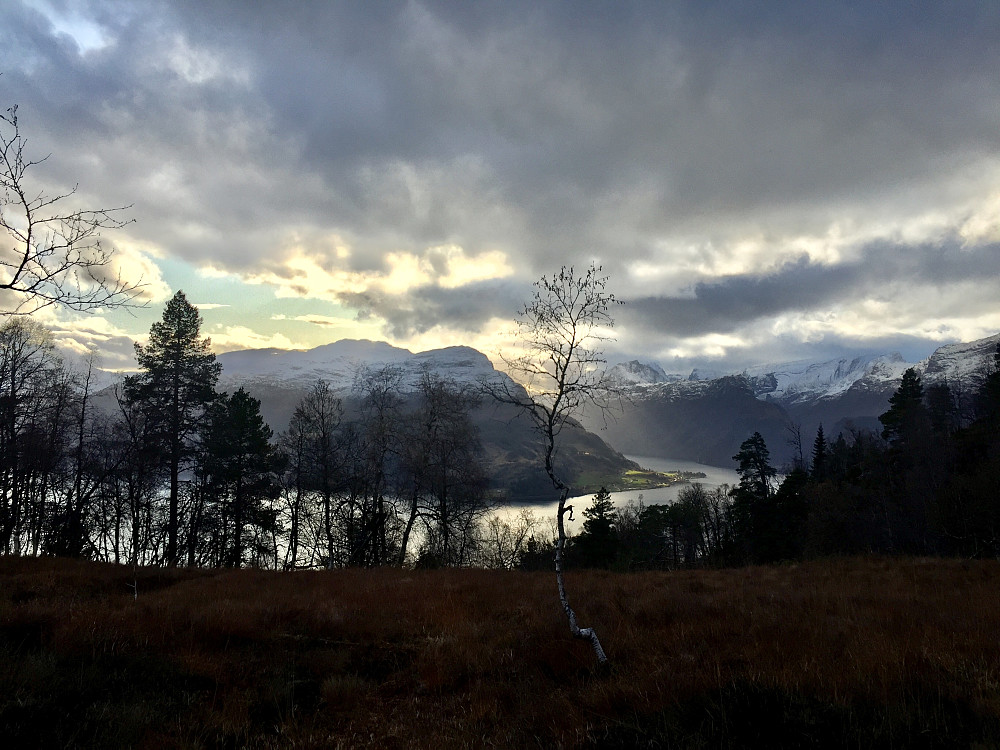 Solgløtt over Hestenesøyra