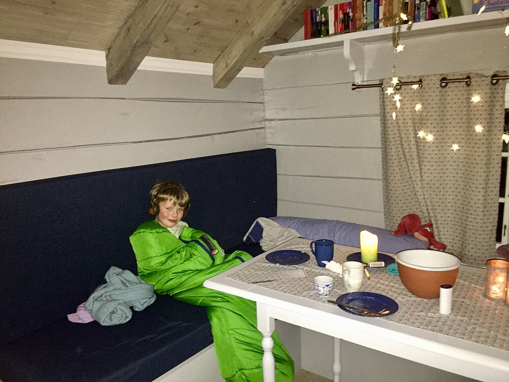 Vinjar koser seg med lydbok 