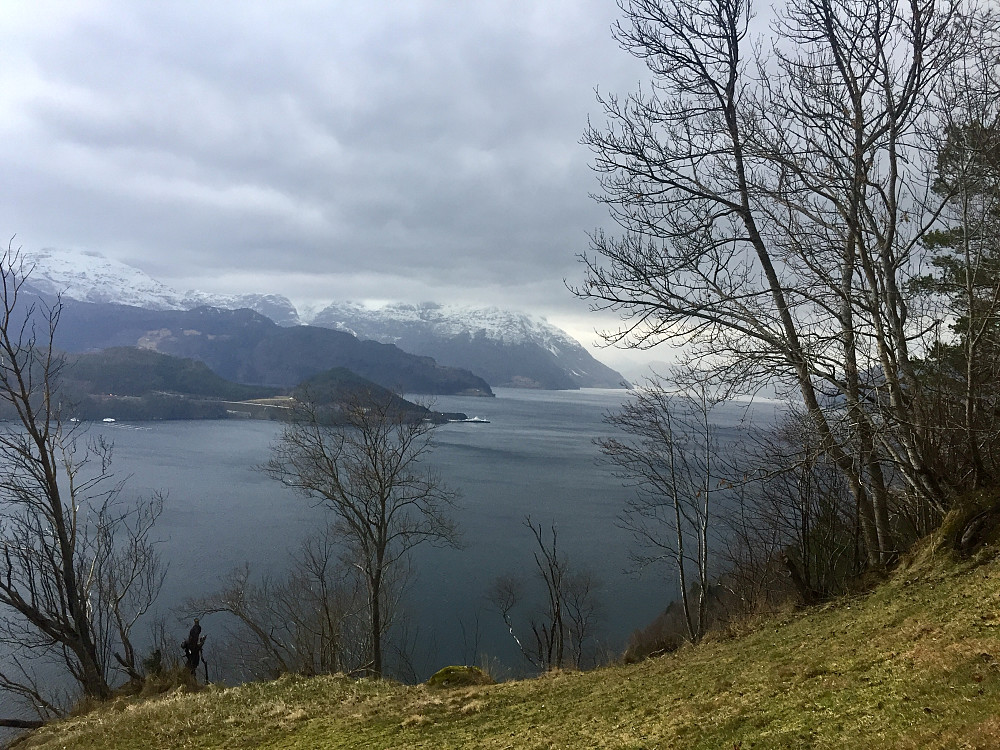 Indre Åsane