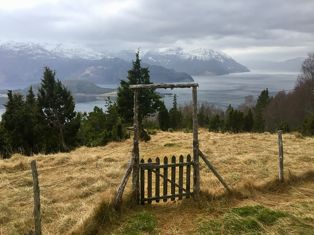 Øvre Ytre Åsane