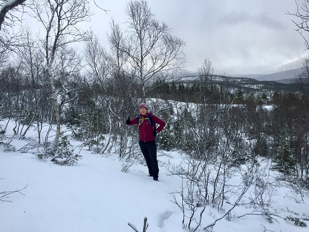 På vei oppover, stiløst i skogen med vernebriller :-)