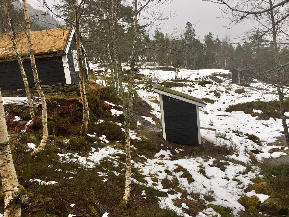 Spirer Grønt på utedotaket !