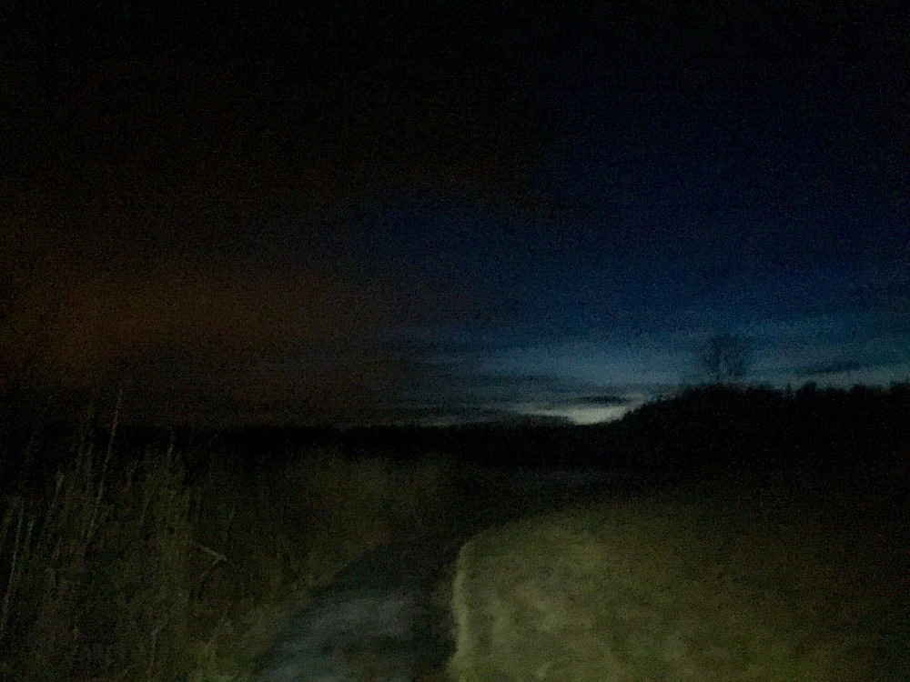 Kveldslyset svinner hen over Nordbytjernet 