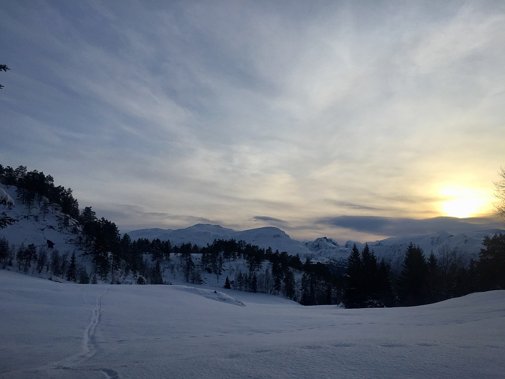Myrane , en god del snø og ikke aktuelt å løpe over her i dag.