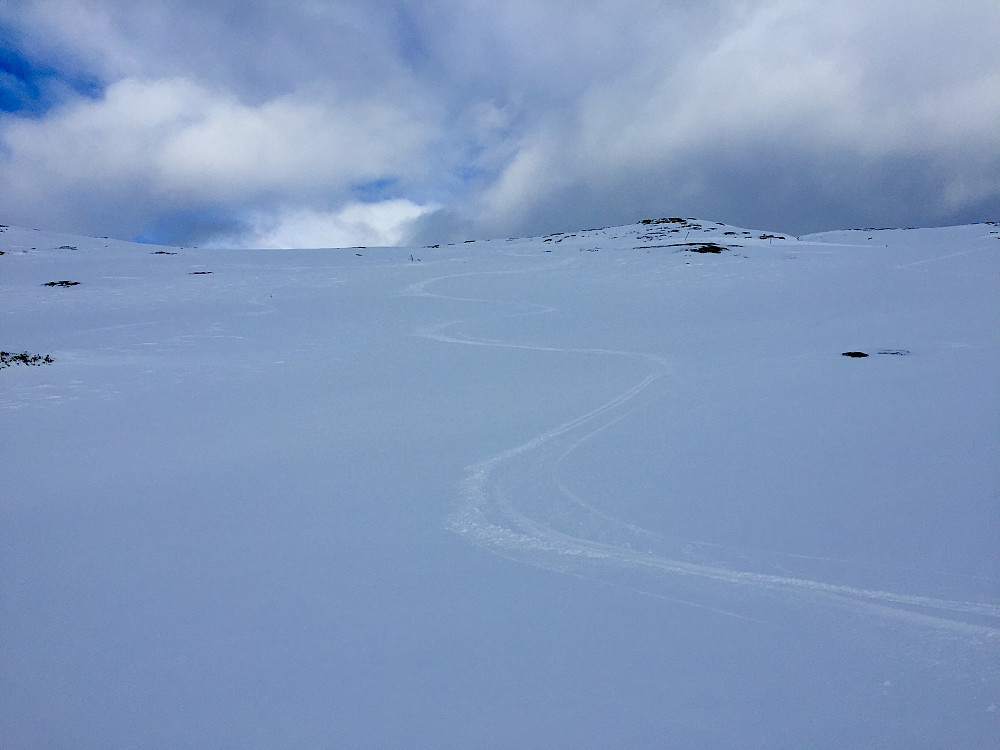 Herlige svinger på fjellski