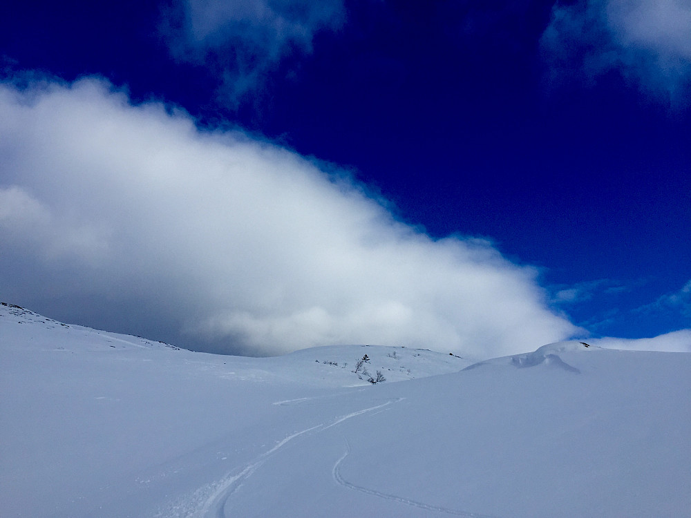Herlige svinger på fjellski
