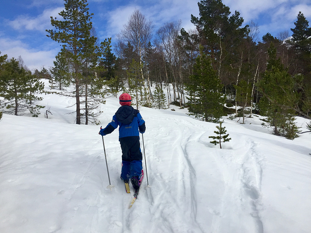 Vi måtte ta oss en tur oppi dalen vi også