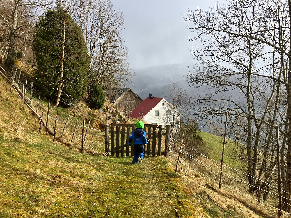 Ytre Åsane