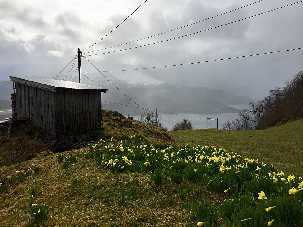 Indre Åsane