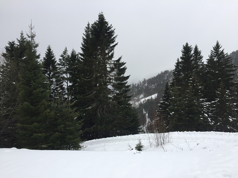 Kan skinte gardfjøsen vår fra Lotsbergskåra.