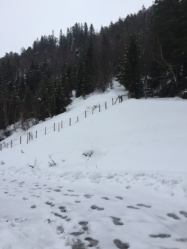 3 intervall opp Lotsbergskåra i dag.