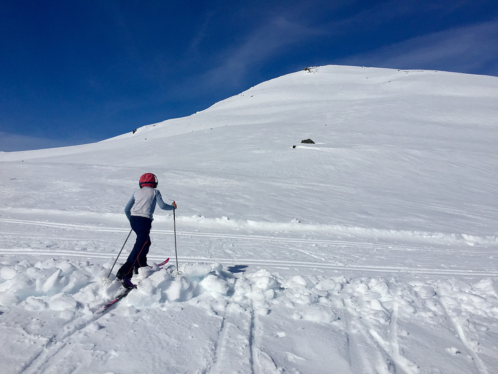 Høgste punkt på ruta , ca 810 moh, Bergsetnakken bak