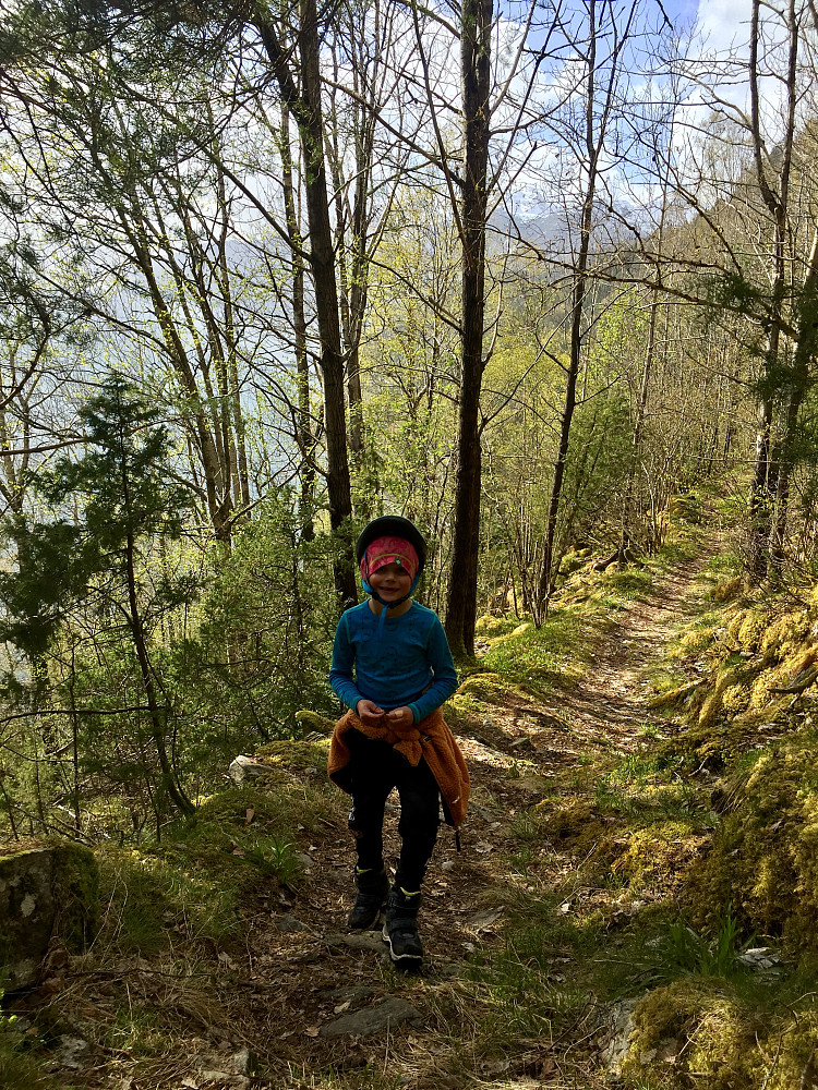 Varmt og fint i skogen