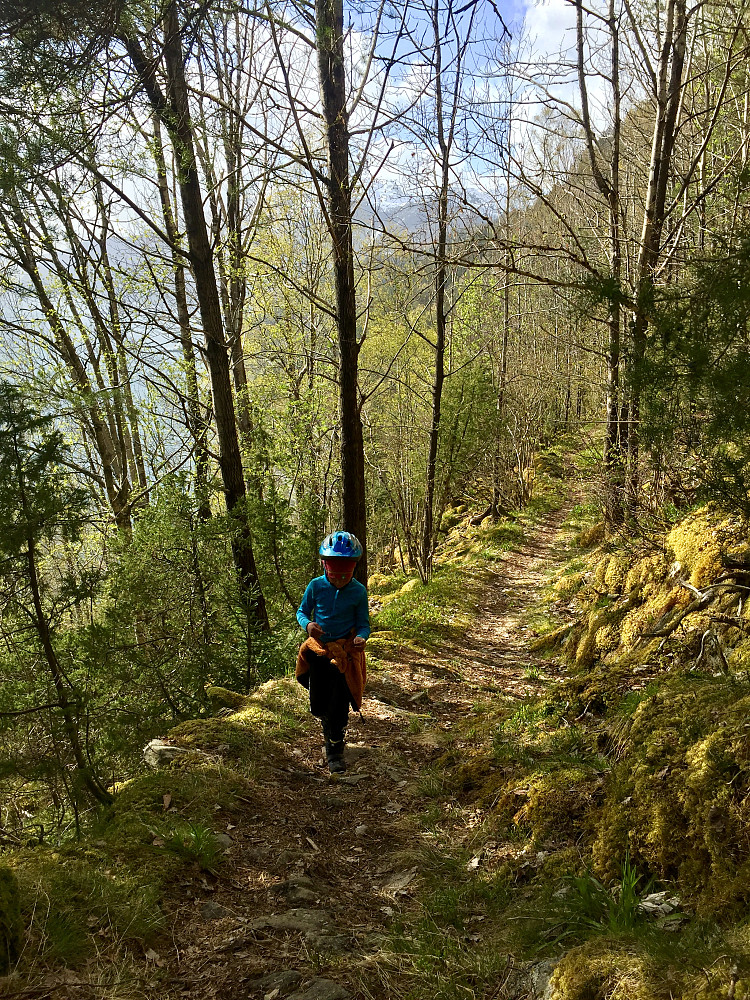 Varmt og fint i skogen