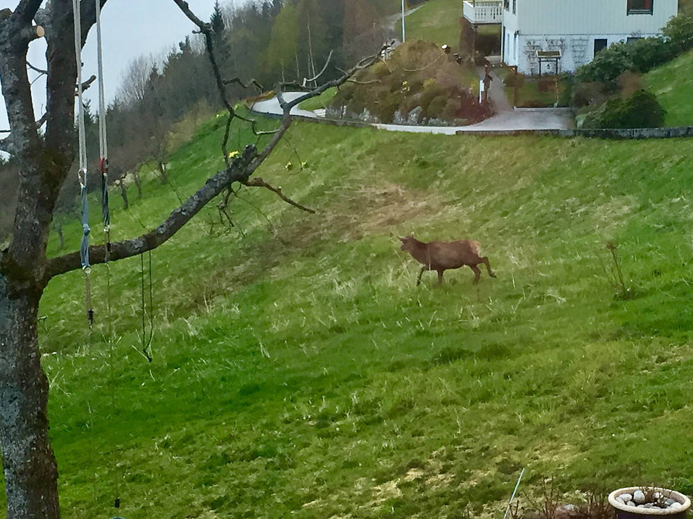 kveldsbesøk i Hagen 