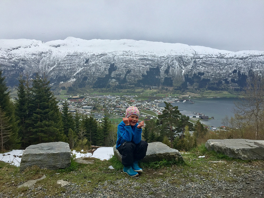 Utsikten