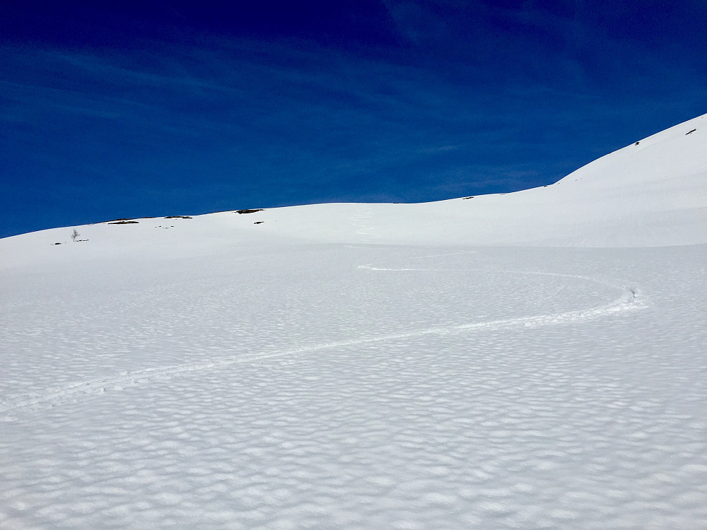 Faktisk ganske greit føre for telemarkkjøring på fjellskia, selv om det ikke var tidenes raskeste føre